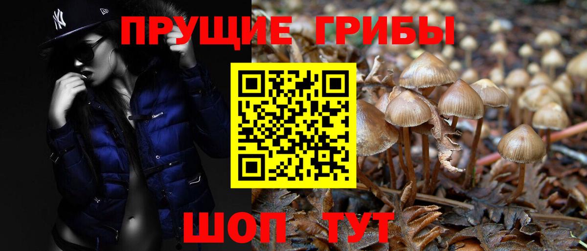 Галлюциногенные грибы MAGIC MUSHROOMS Рославль